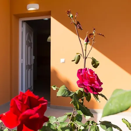 Danaia Villa *